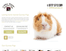 Tablet Screenshot of littlebearguineapigs.co.uk